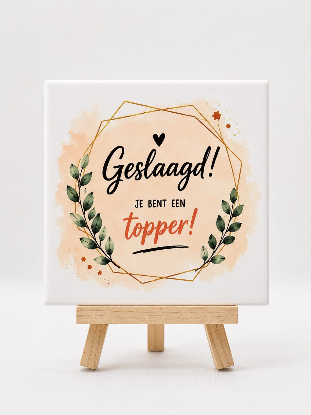 Tegeltje geslaagd je bent een topper