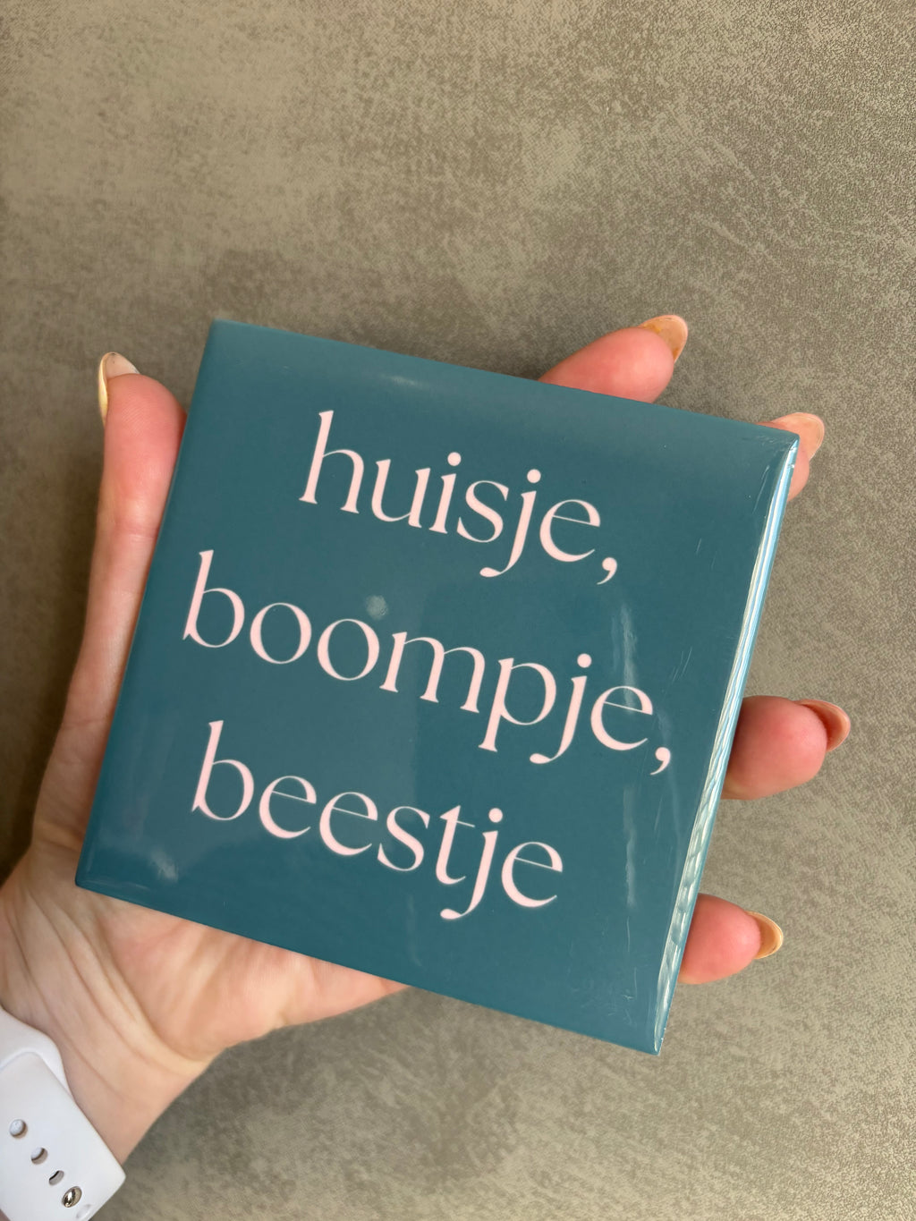 Tegeltje huisje, boompje, beestje