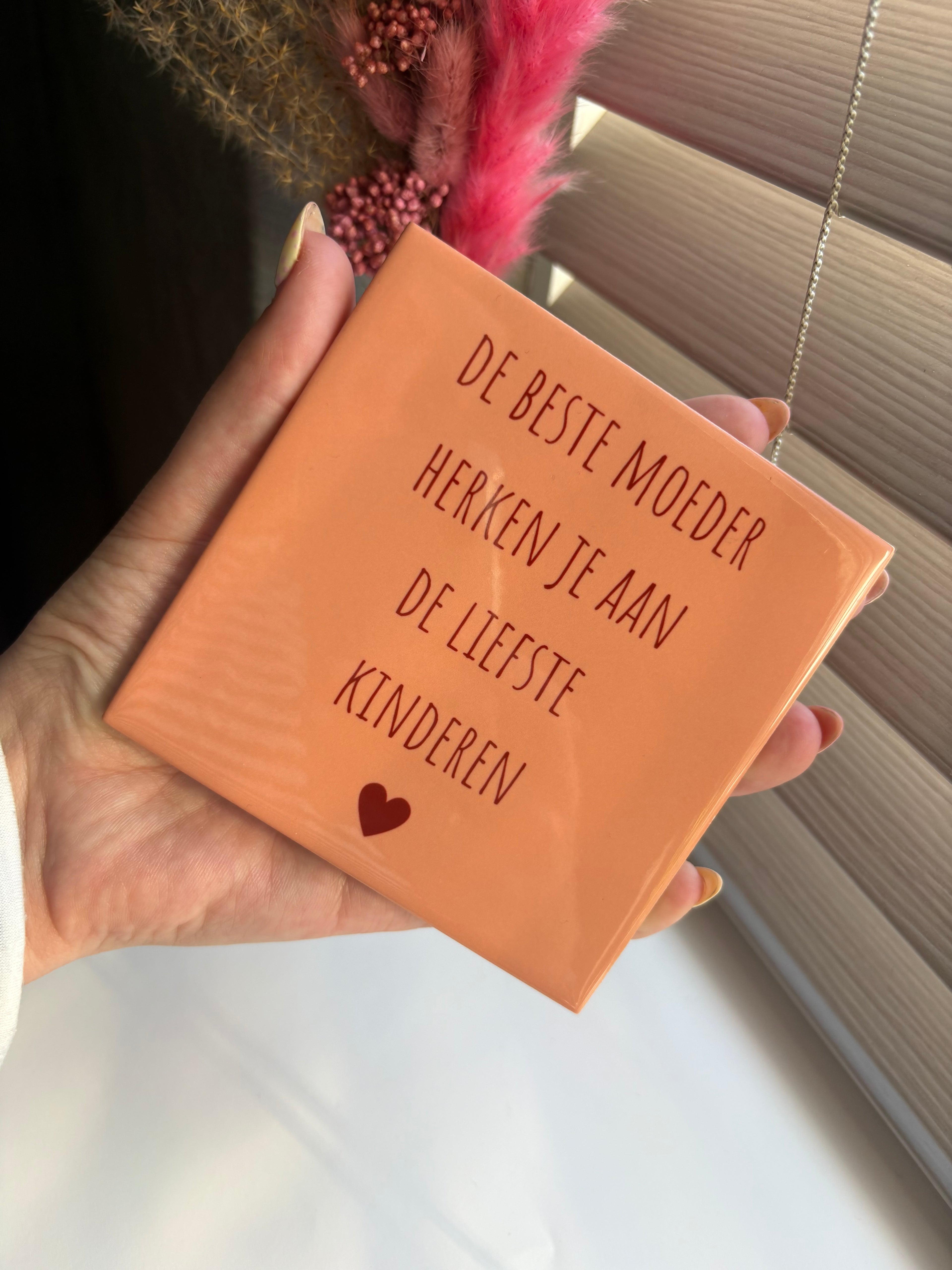 Tegeltje de beste moeder herken je aan de liefste kinderen.
