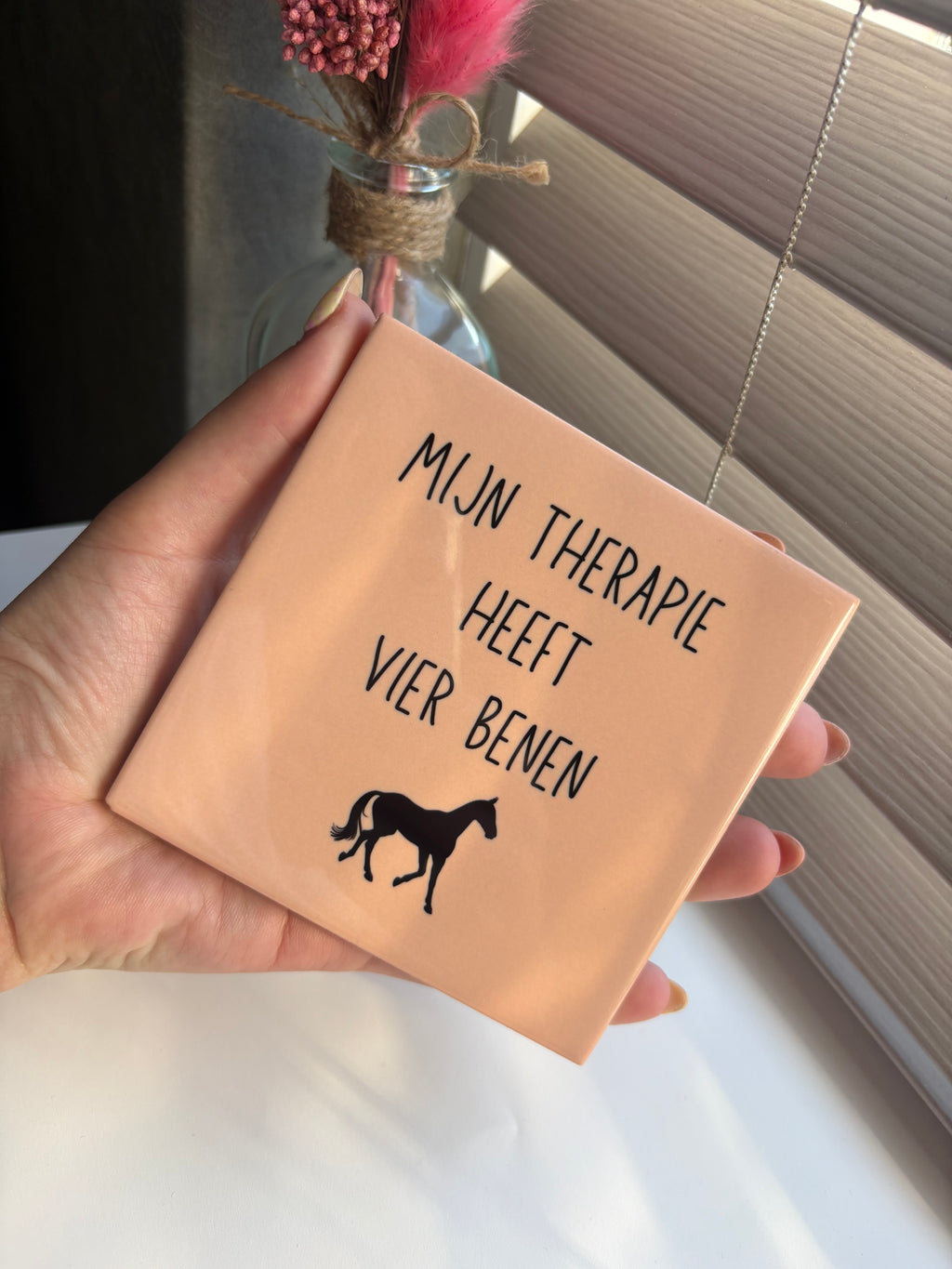 Tegeltje mijn therapie heeft vier benen