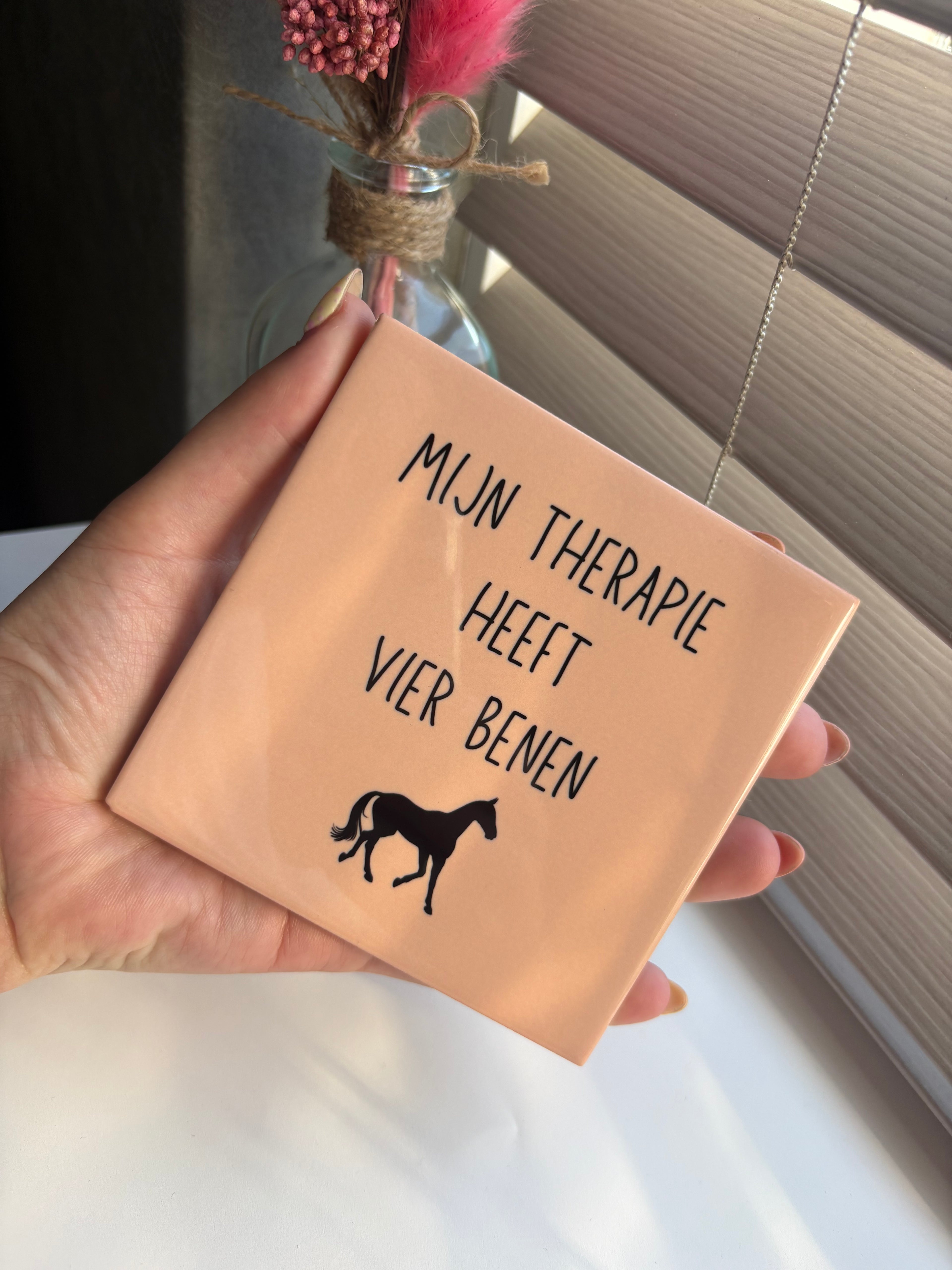 Tegeltje mijn therapie heeft vier benen