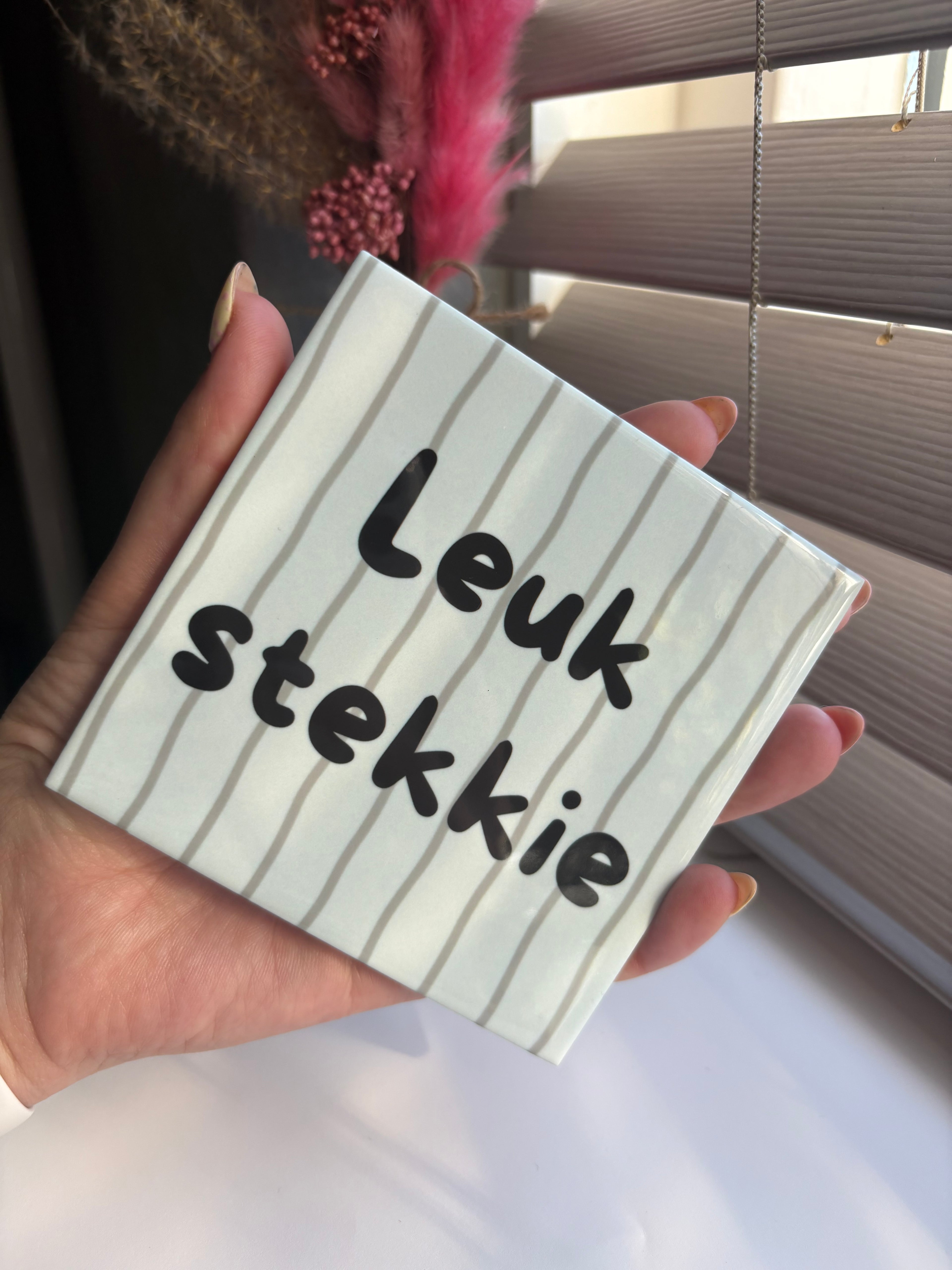 Tegeltje leuk stekkie