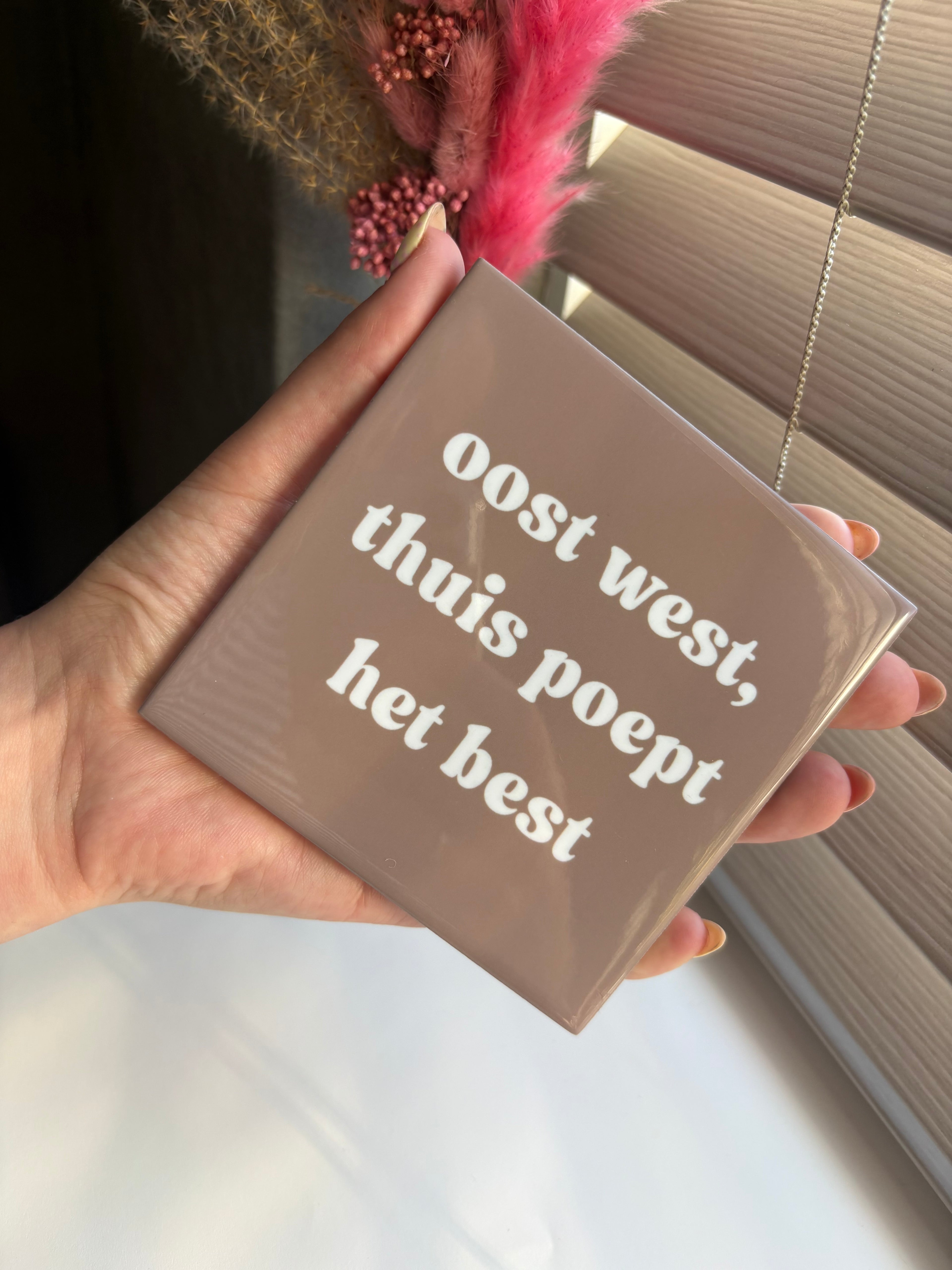 Tegeltje oost west, thuis poept het best