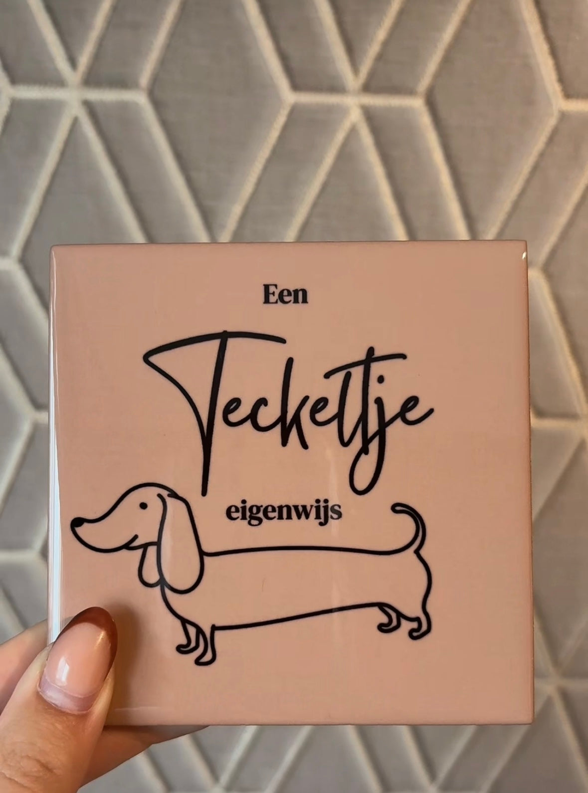 Tegeltje teckeltje eigenwijs (bruin)