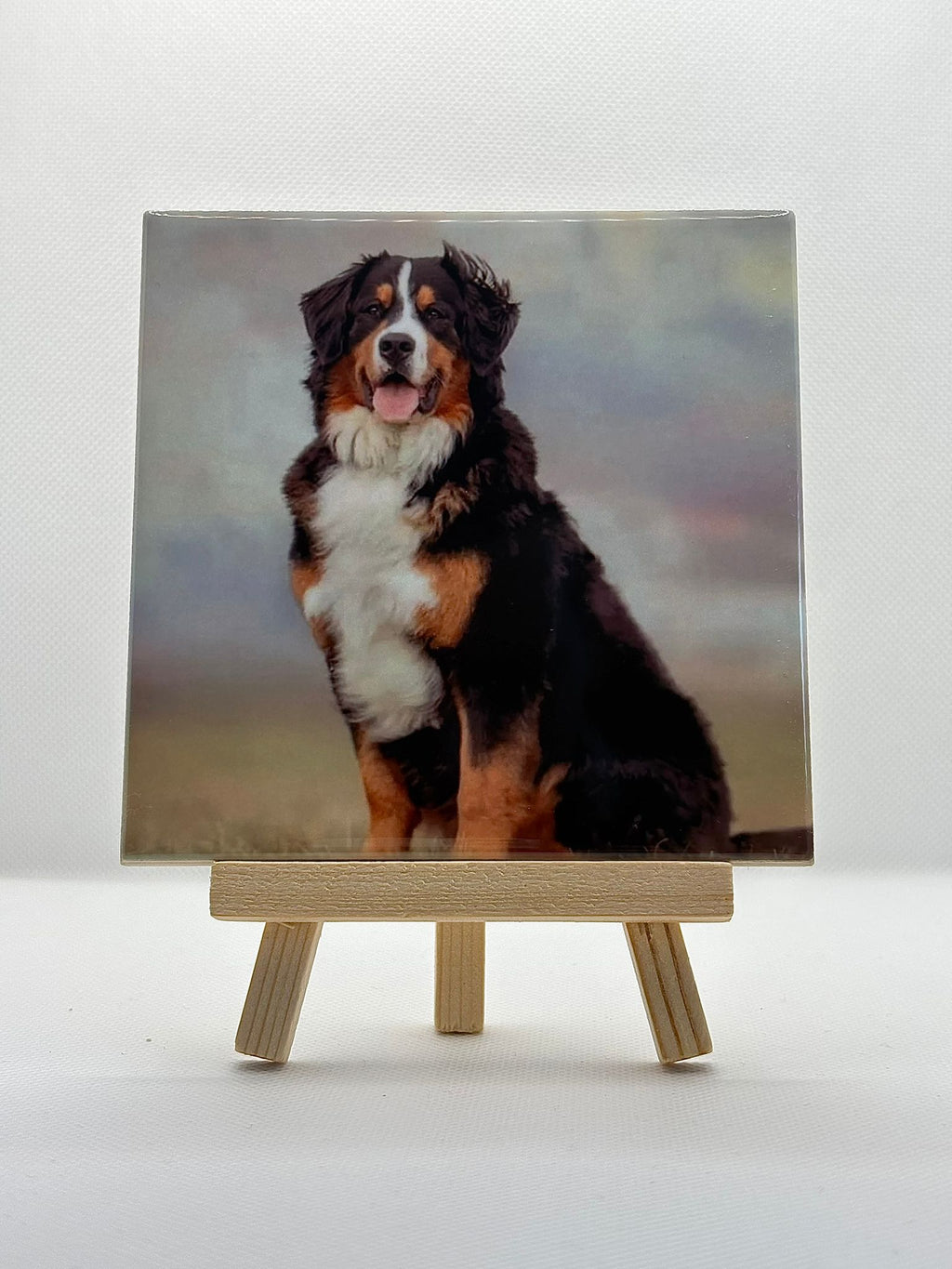 Foto tegeltje Large 15x15 cm