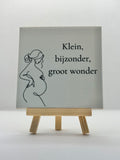 Tegeltje klein, bijzonder, groot wonder