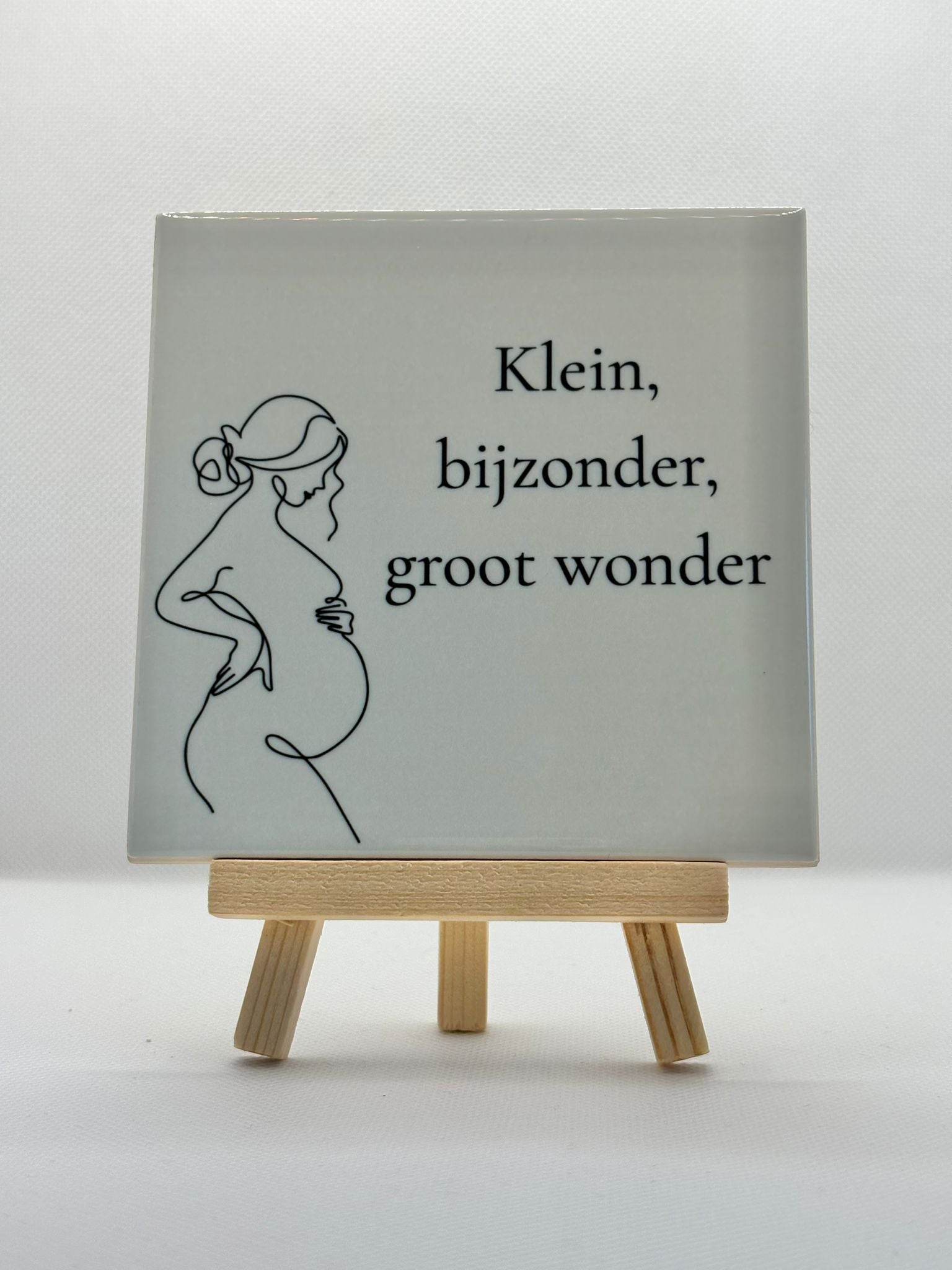 Tegeltje klein, bijzonder, groot wonder