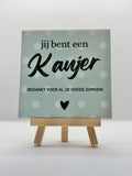 Tegeltje jij bent een kanjer bedankt